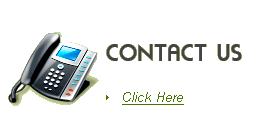 Land Information Services